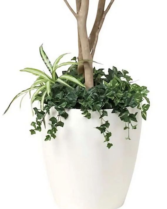 光触媒 人工観葉植物 ウォールグリーン フェイクグリーン ベンジャミン