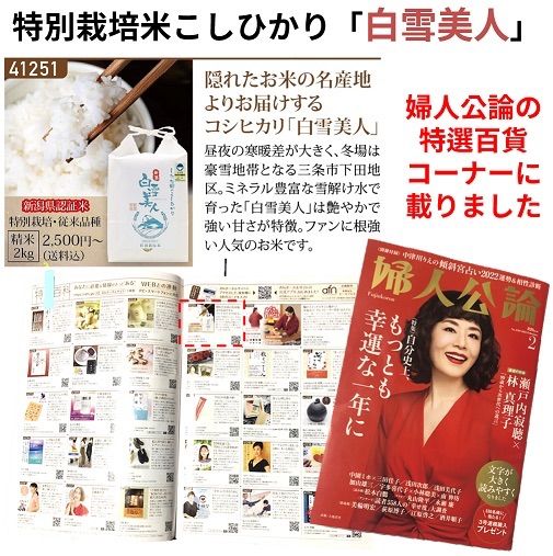 訳あり 減農薬 新潟こしひかり米粉900g 令和6年産 新潟県三条市