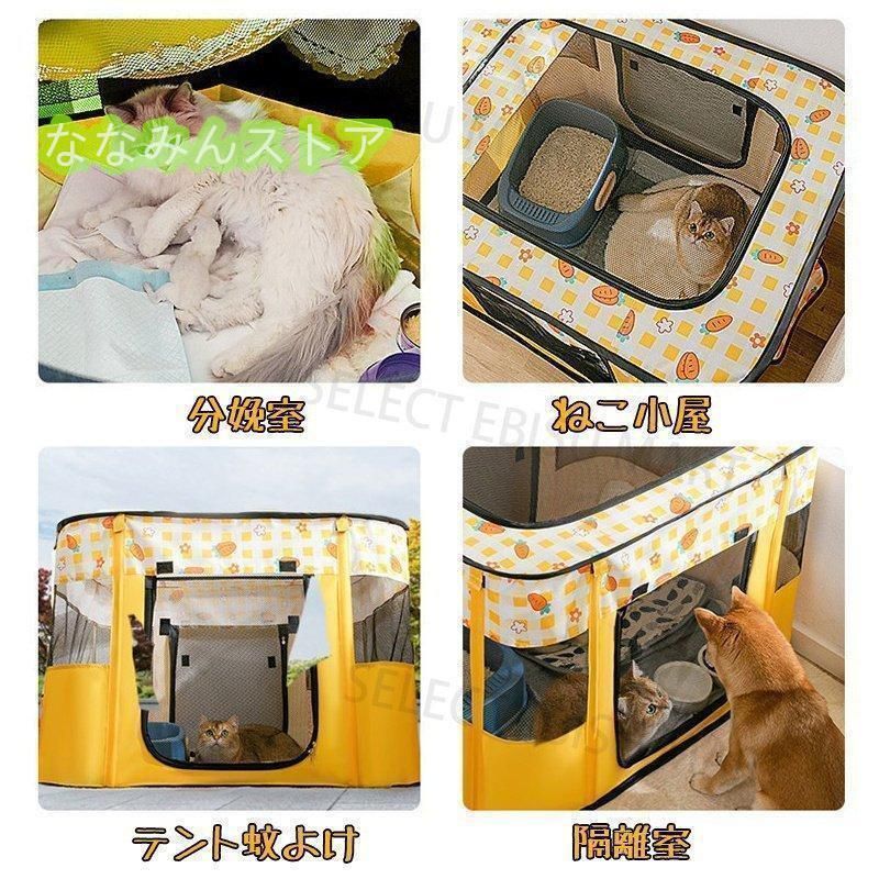 犬