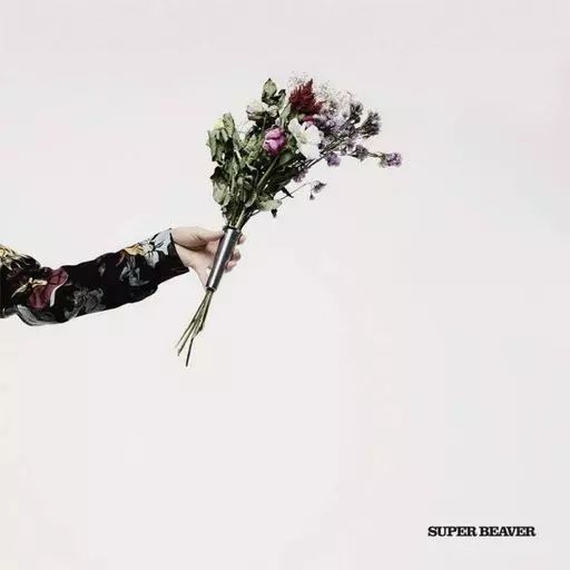 邦楽 SUPER BEAVER CD Amazon.co.jp: 音楽 (通常盤) - SUPER BEAVER: ミュージック