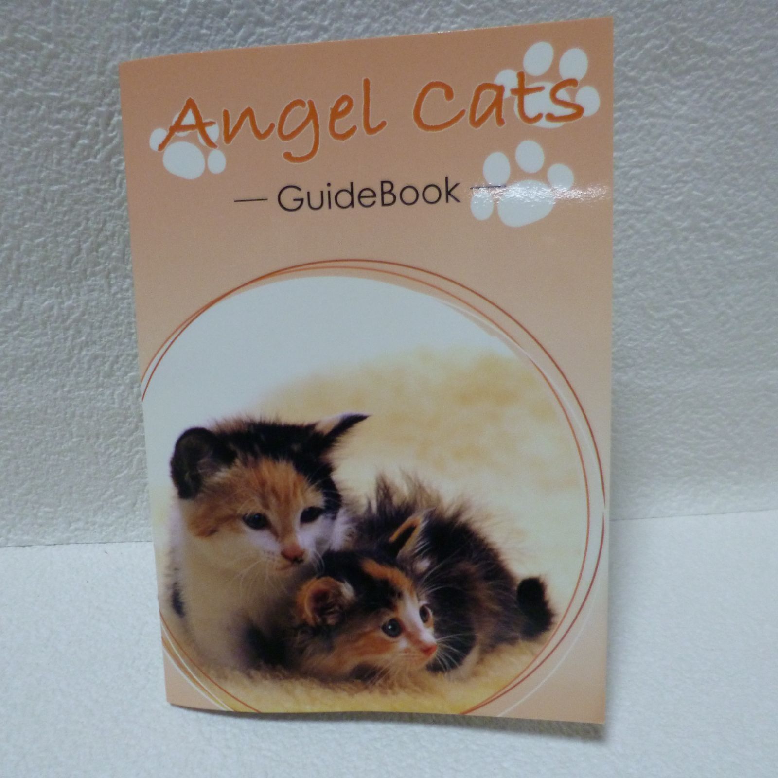 【未開封】Angel Cats-こねこたちからの45枚のメッセージカード- 未開封】Angel Cats-こねこたちからの45枚のメッセージカード