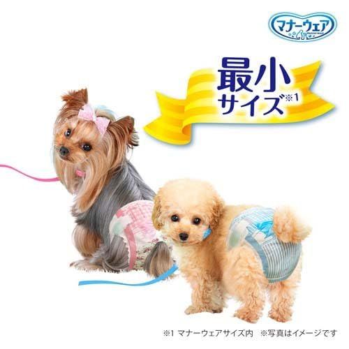 メス 超小型犬