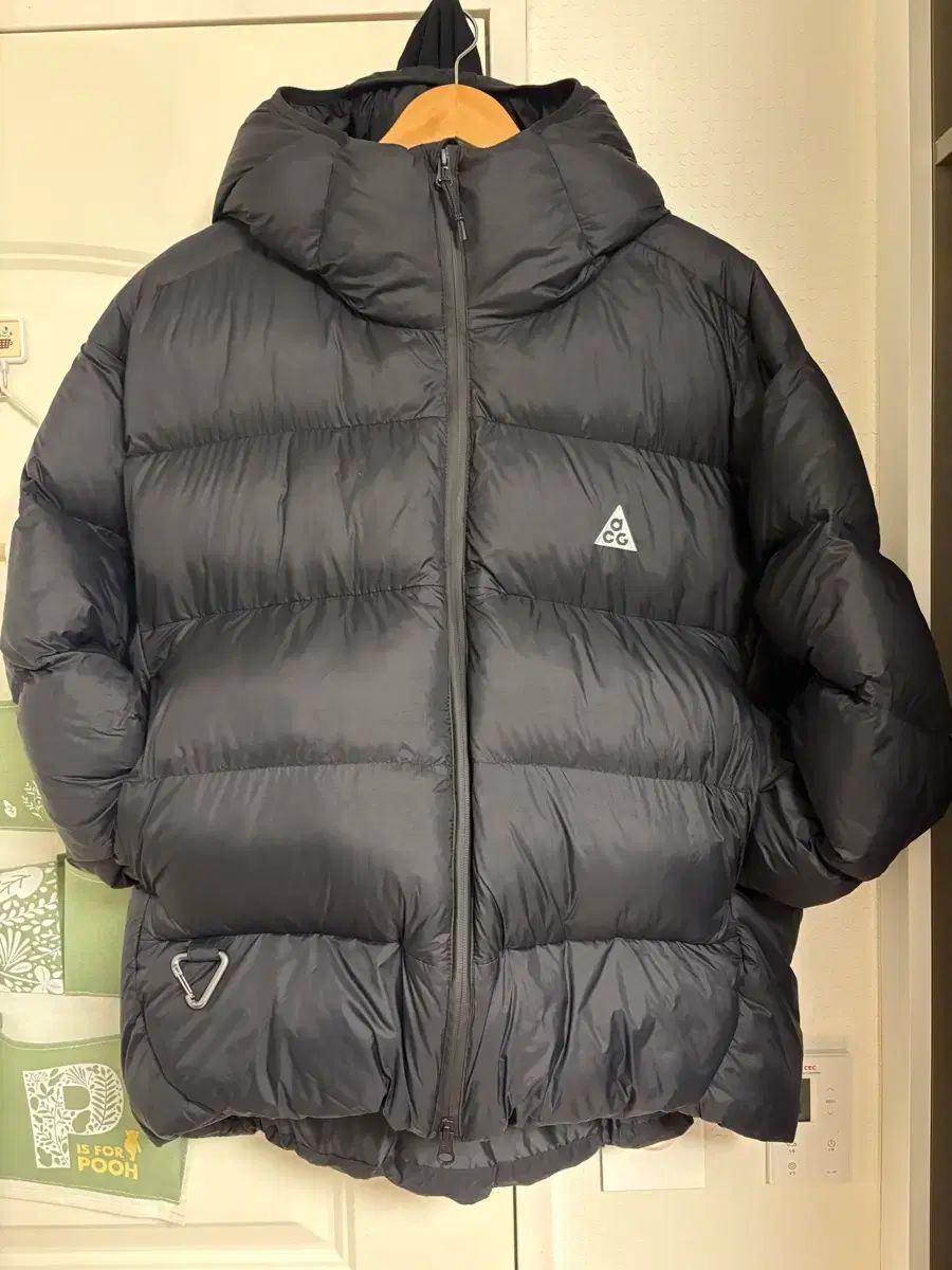 Nike ナイキ ACG ルナ レーキ ダウンジャケット XL