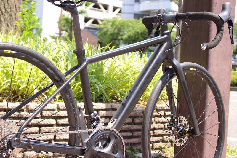 キャニオン CANYON ENDURACE AL DISC 7.0 WMN 2020年モデル 3XSサイズ