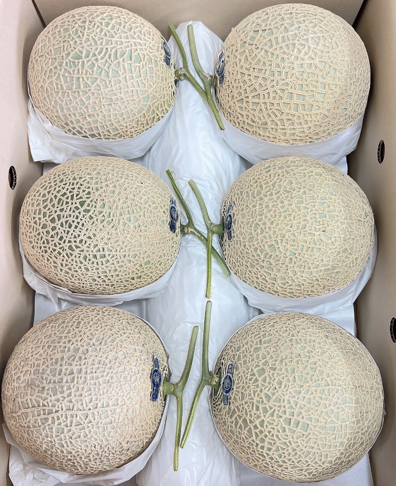 【レビューで送料無料】 ライオンメロン 温室マスクメロン 高級メロン 温室メロン 果物