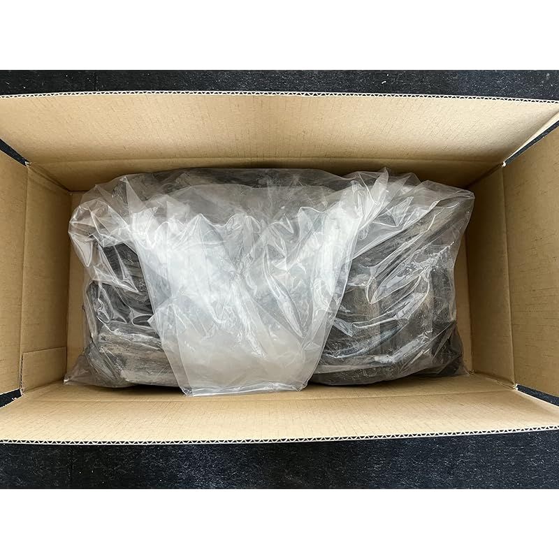 注目商品 紀州備長炭 燃料用 BBQ バーベキュー用 ウバメガシ 白炭 5kg 0