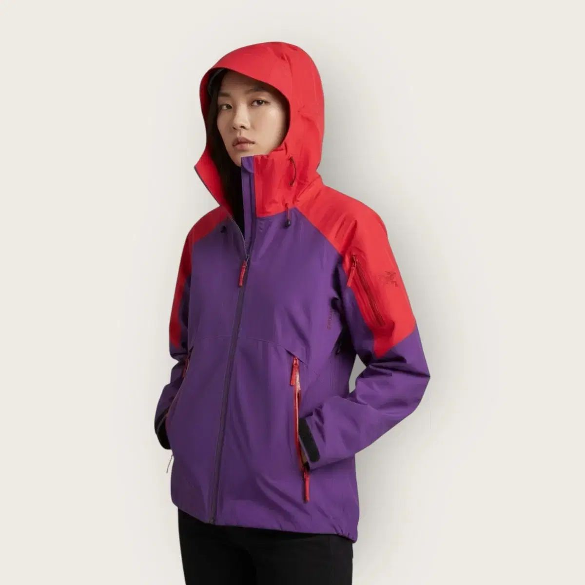 S|ARC TERYX アークテリクス Recco GORE-TEX ゴアテックス フーディ ウィンドブレーカー