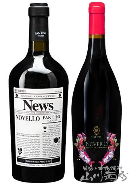 グレイス セレナ エクストラ ブリュット 2019 2本セット 赤ワインセット