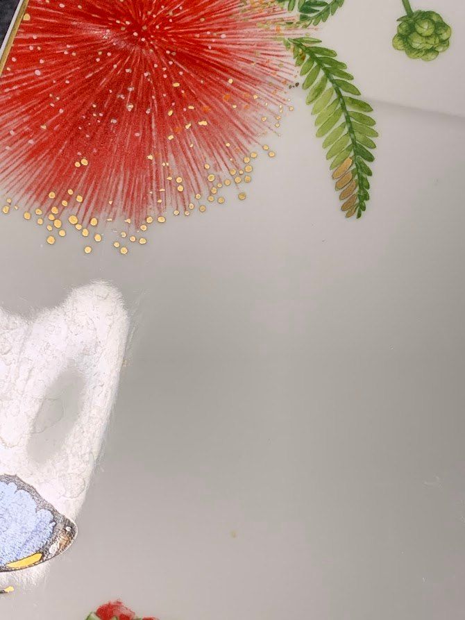 ☆ ビレロイ＆ボッホ Villeroy & Boch アマゾニア スクエアプレート