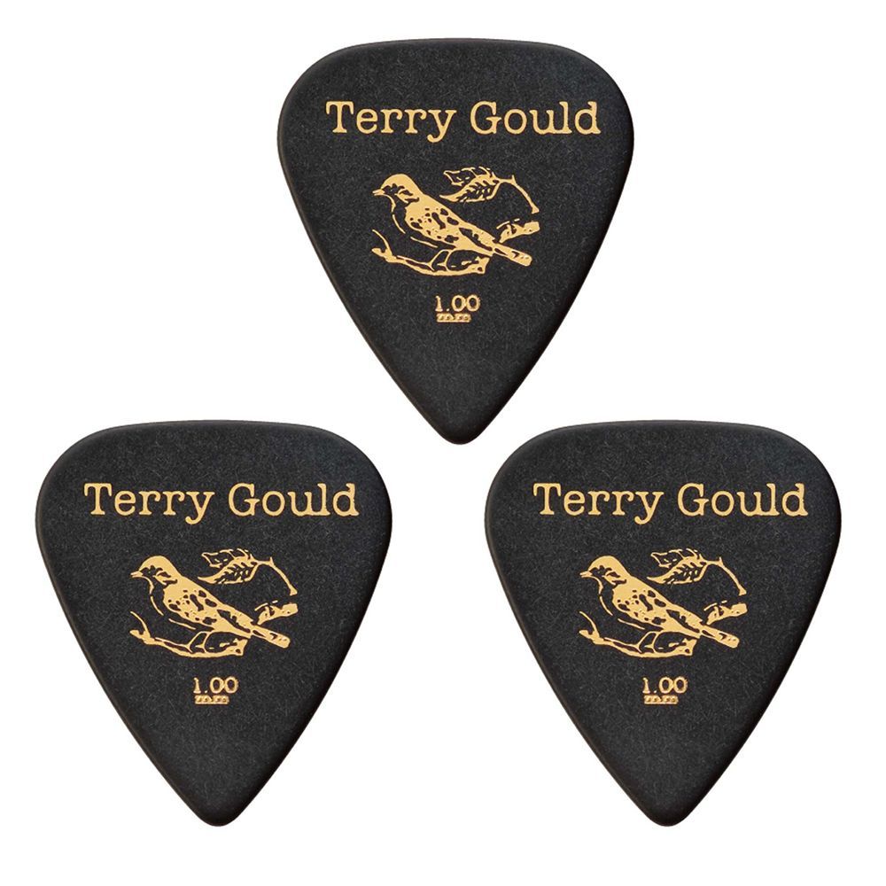 Queen クイーン ゴールド  ギターピック Queen クイーン ゴールド ギターピック Queen クイーン ゴールド