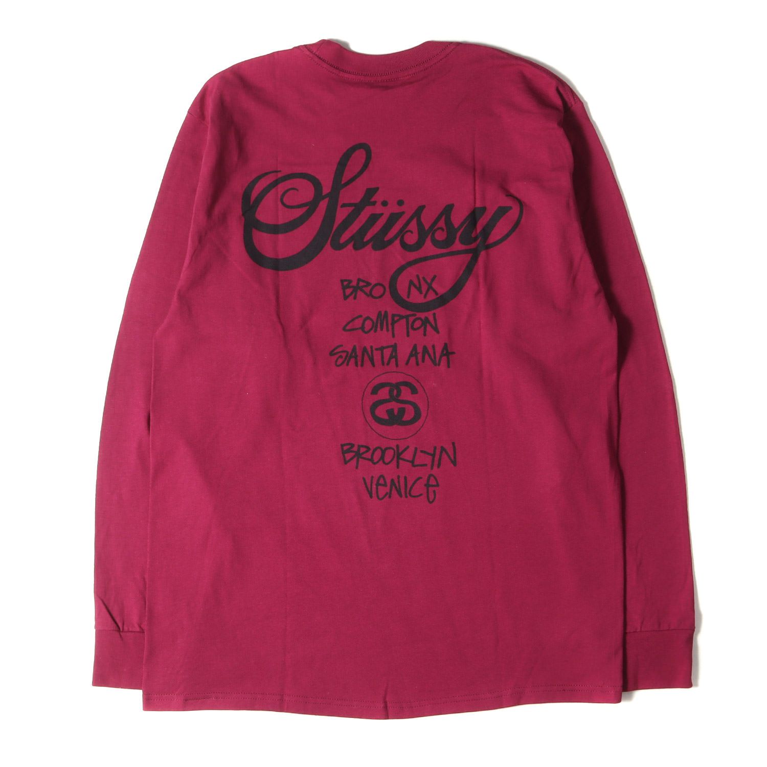 新品 STUSSY ステューシー Tシャツ サイズ:M 19AW ワールドツアーロゴ 