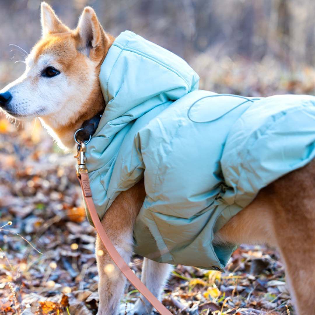 犬用品 【新品】max-bone(マックスボーン)/フードつき防水ダウン