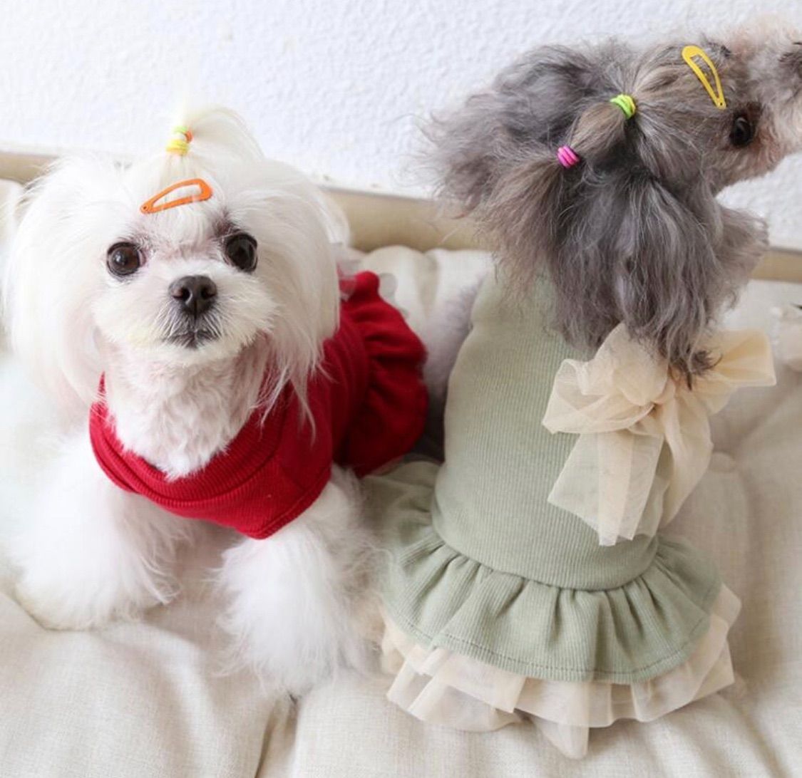 犬服 M ドット柄 ワンピース ふりふり フリルワンピ 春夏服（シャツ or 