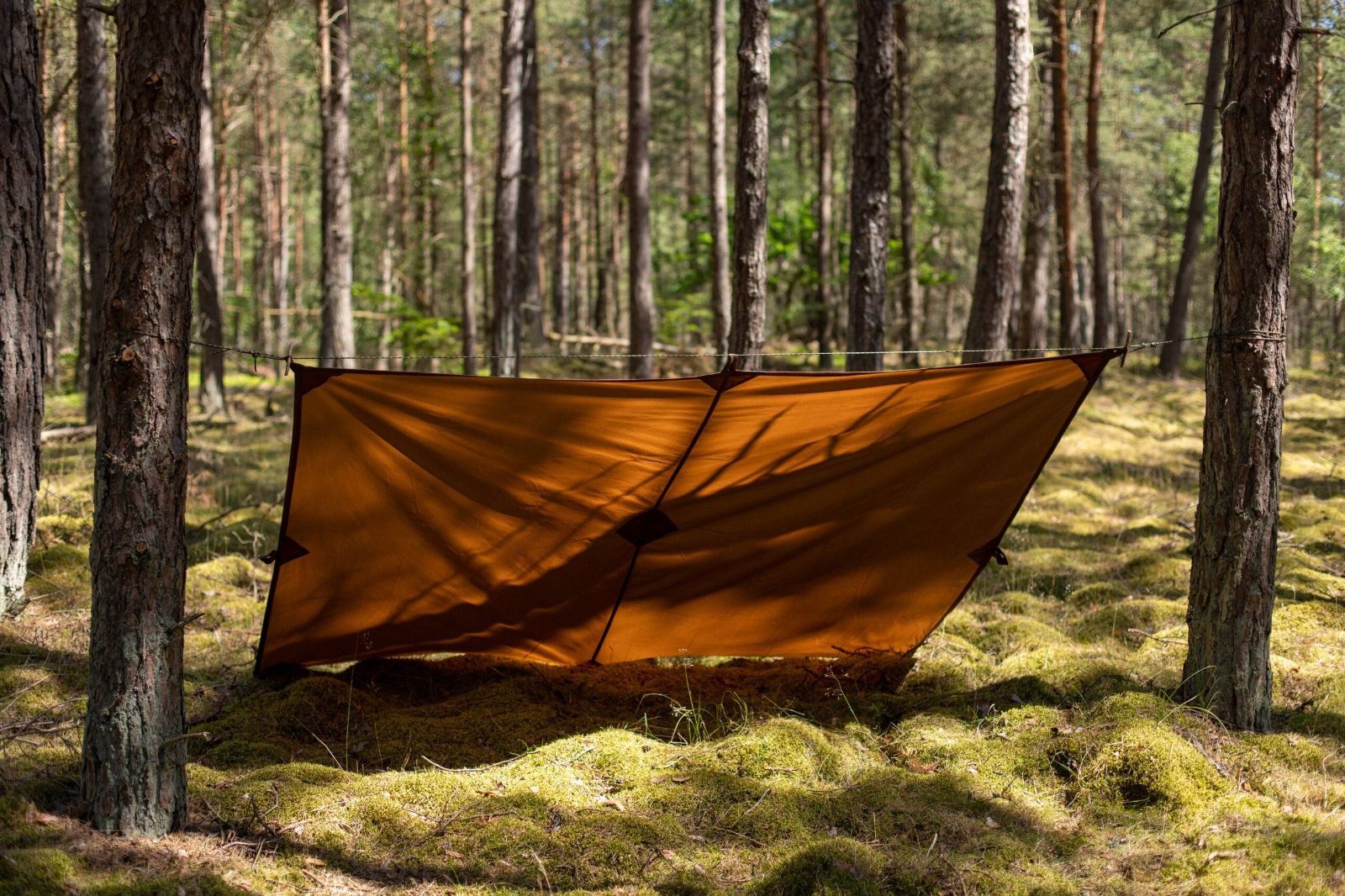 ブッシュクラフトスペイン Nessmuk ネスムック オイルスキンタープ 2.5x2m Bushcraft Spain 軍幕 無骨