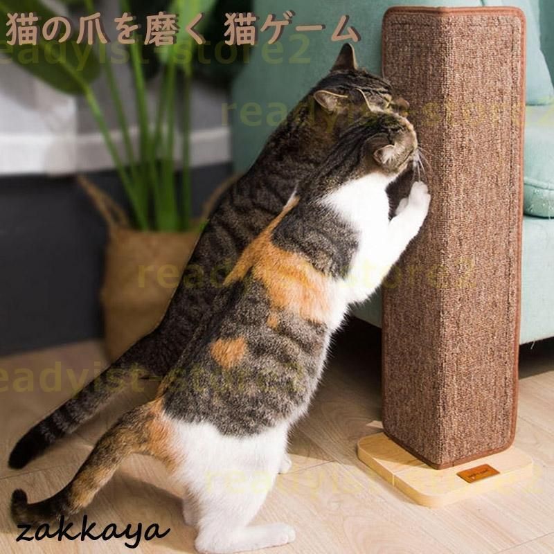 玩具 爪みがき