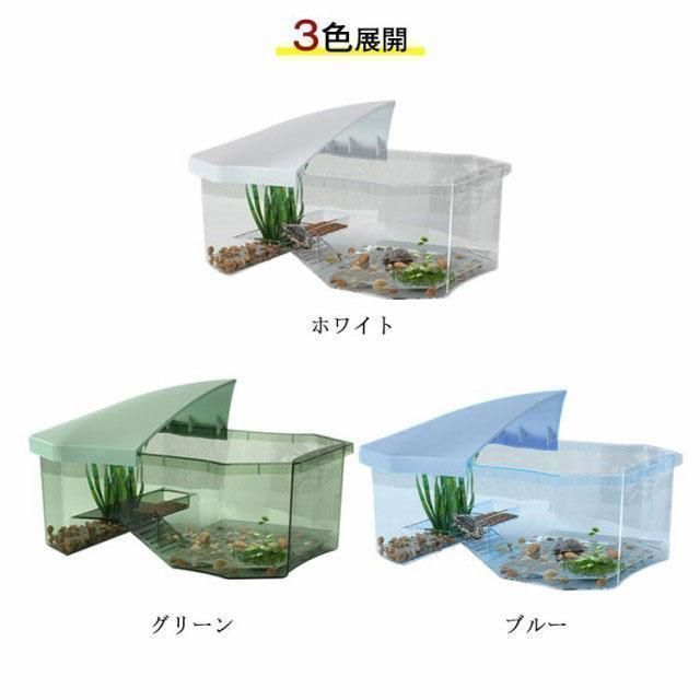 飼育ケース