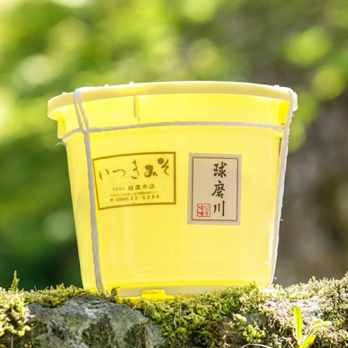 1セット限定 右仕様 300x300x400オールガラスオーバーフロー水槽セ 人気