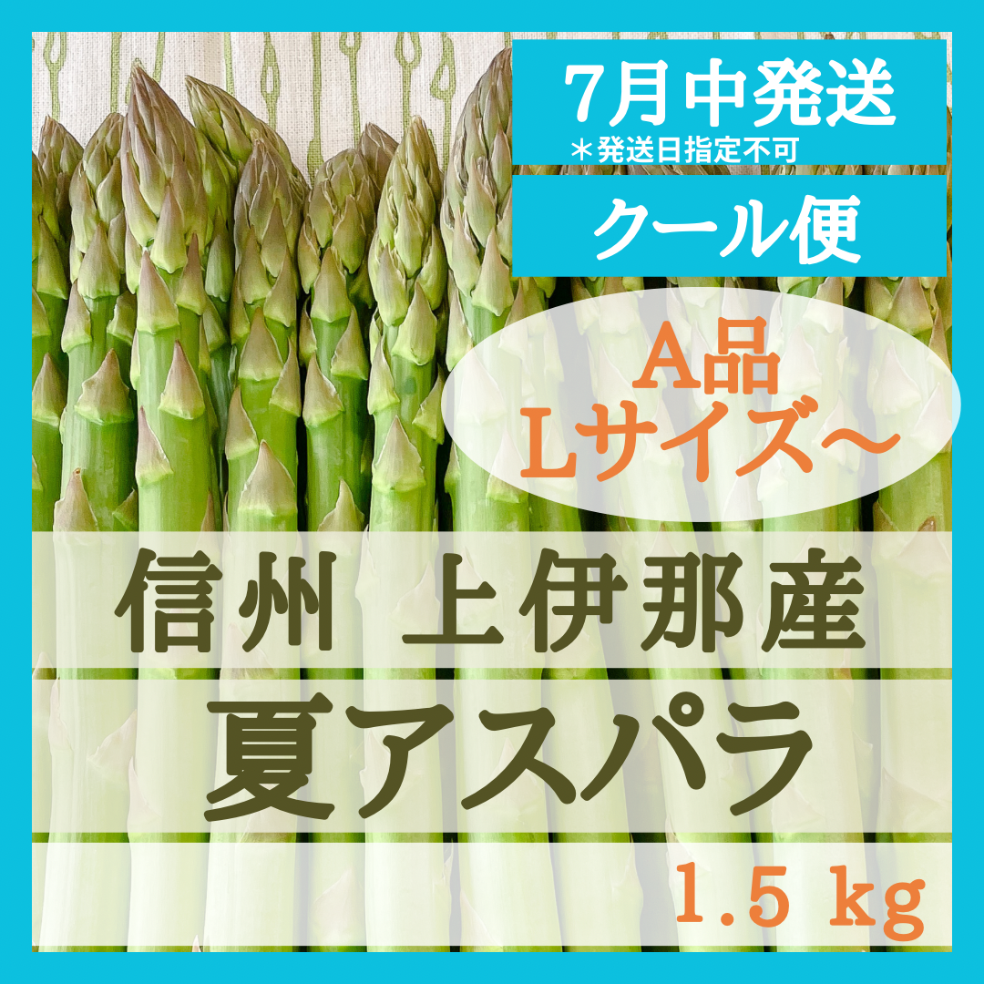 ホワイトブラウン 信州産アスパラガス 1.5kg - 通販 - www.lmsaude.com.br