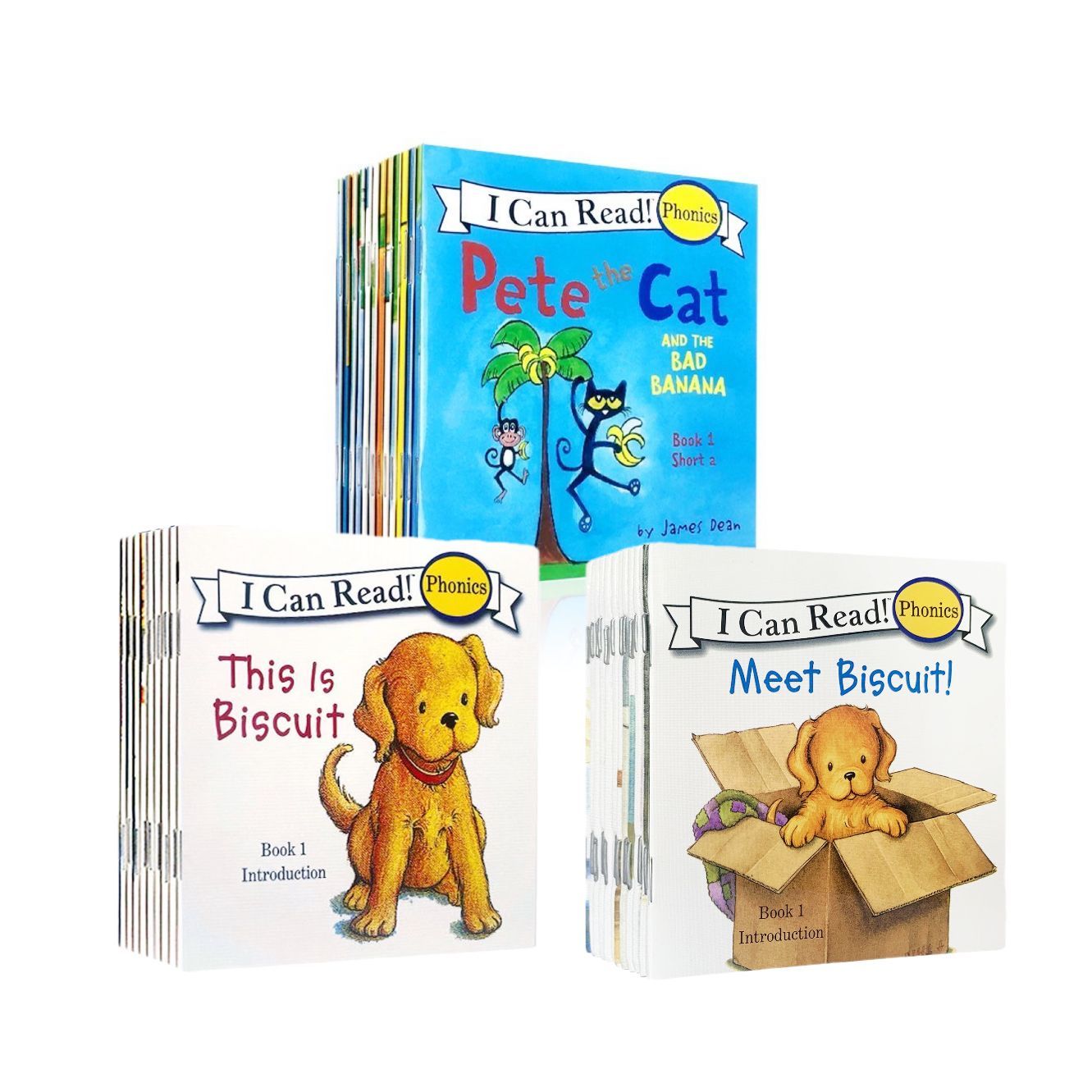 64GBモデルMaiyaPen付お得セット】ORT ステージ1-2 DD含 150冊