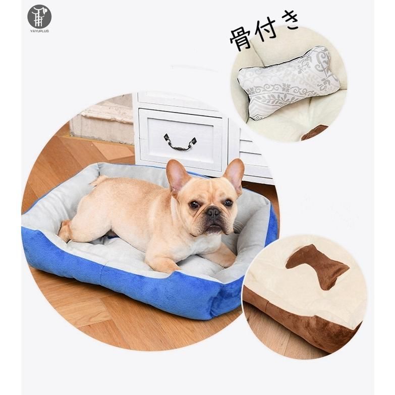 犬 猫