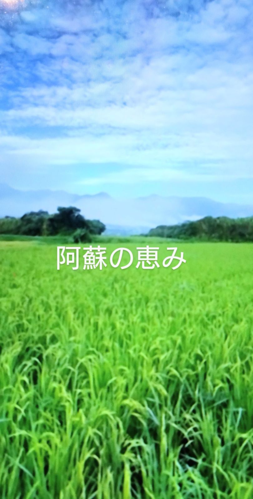 R7年 自然栽培米