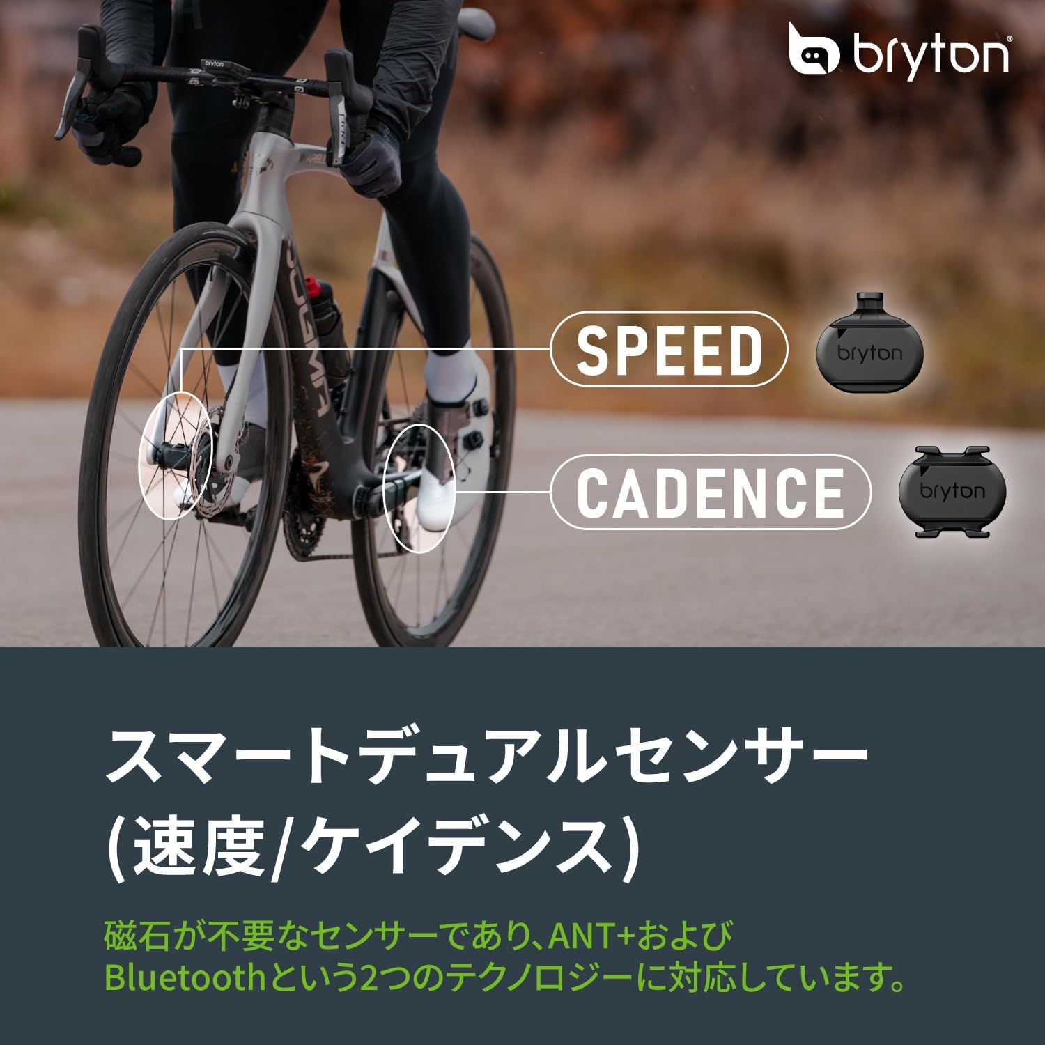 ブライトン Bryton