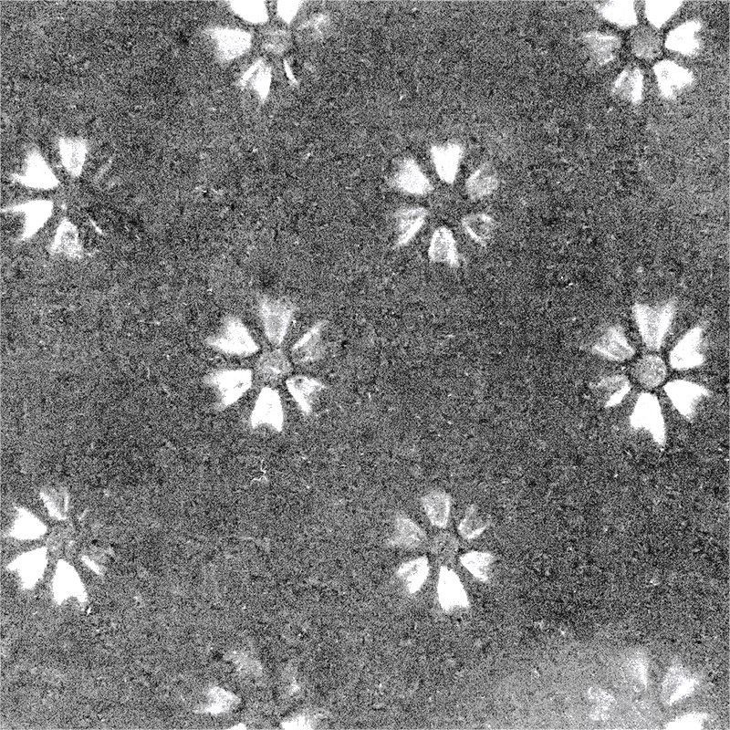 難燃証明発行可能【金華山生地のみ 幅1300mm】1m切り売り