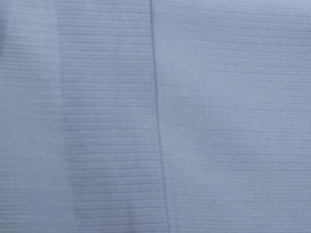 平和屋着物＊夏物 色無地 絽 紅掛花色 正絹 逸品 DAAT5407sf