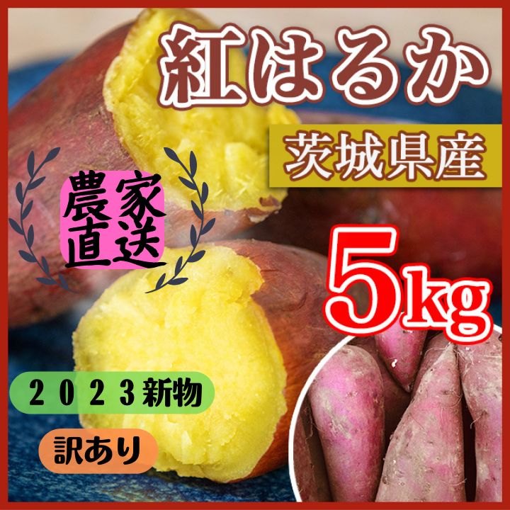 新物 農家直送 5kg さつまいも 紅はるか 茨城県産 訳あり品③ - 干し芋