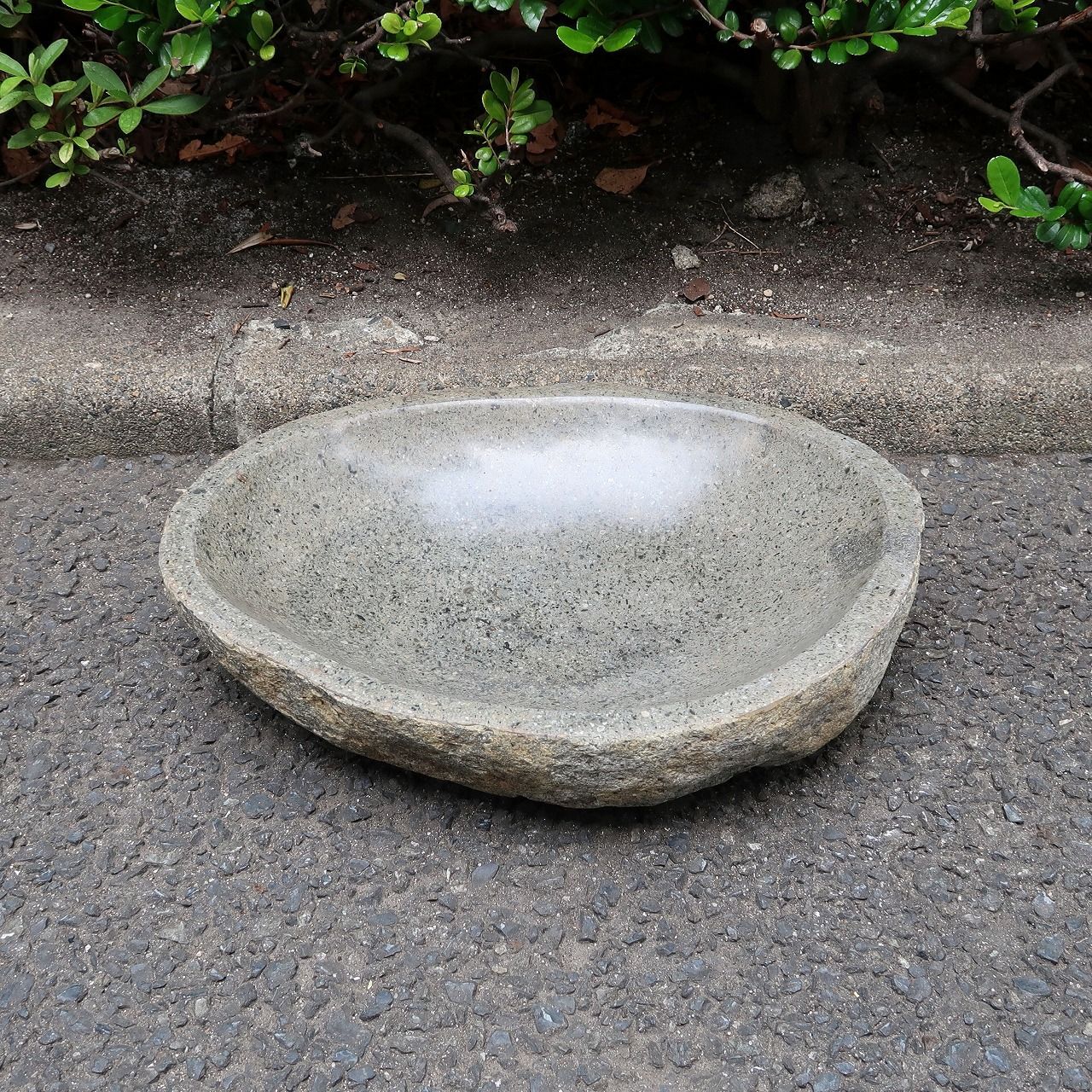 睡蓮鉢