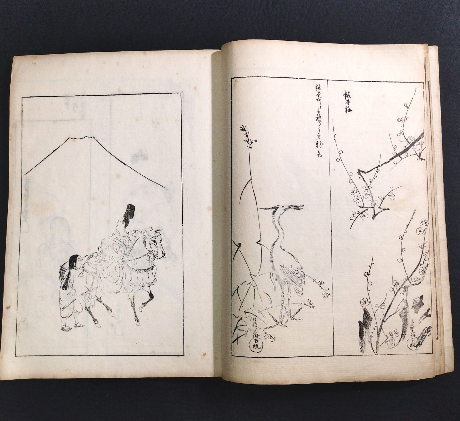 尾形光琳 絵入◇光琳百図◇上 琳派 画譜 手手本 絵本 図案 文様 草花
