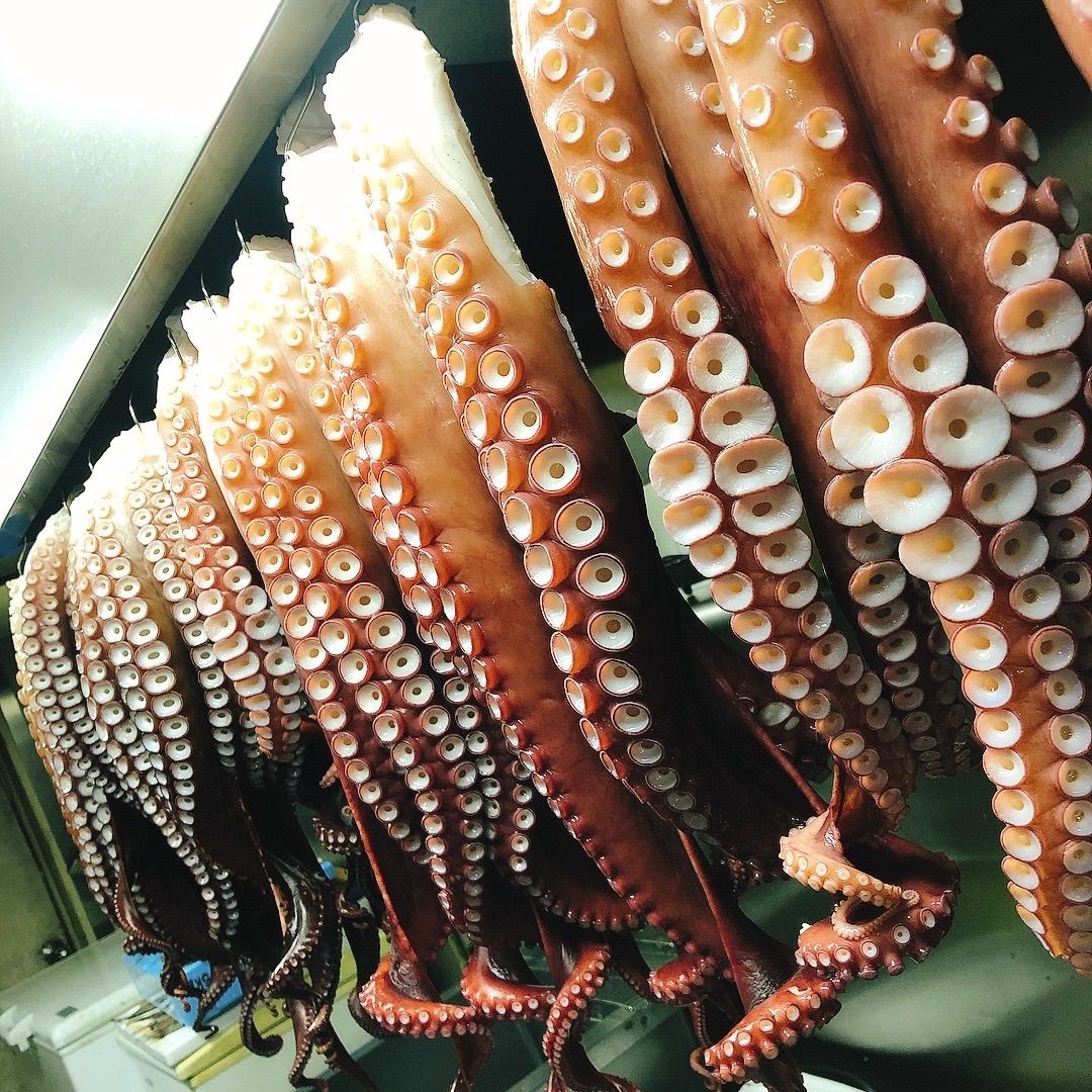 たこ tako350_top.jpg