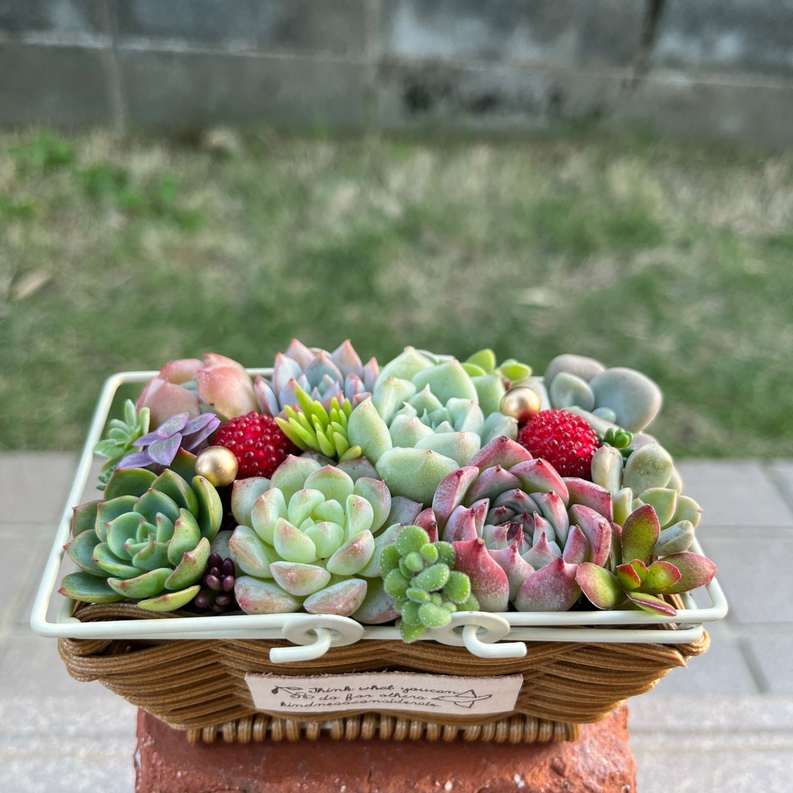 ♡そのまま飾れる♡カゴバスケット♬可愛い多肉植物寄せ植え╰(*´︶`*)╯♡ - メルカリ