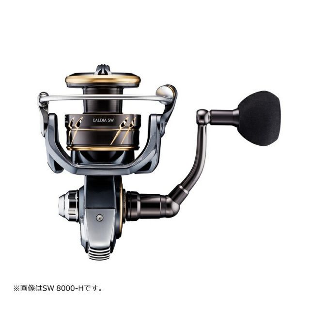 カルディア　SW 8000-P ダイワ 23カルディアSW 8000-P | 釣具 釣り フィッシング - メルカリ