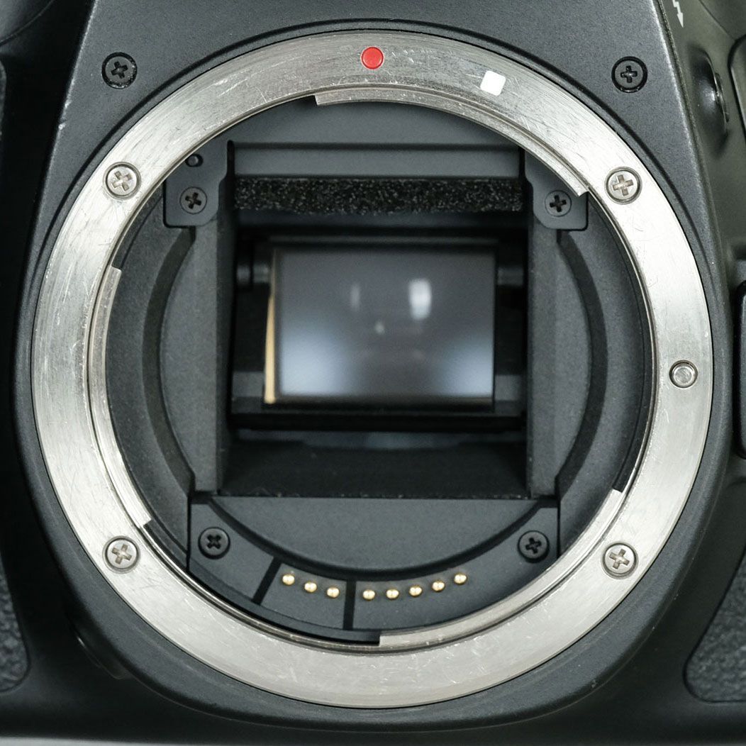 ☘️レンズ交換不要で遠近撮影☘️ニコン Nikon D80 28-200 ☘️レンズ交換不要で遠近撮影☘️ニコン Nikon D80 28-200 ☘️レンズ交換