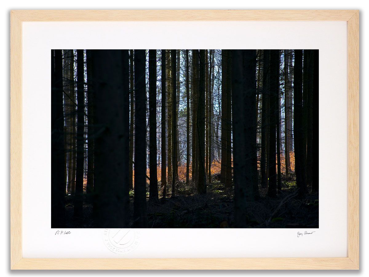 F6号】片岡球子【花ほころびる富士】肉筆/サイン有/油彩/アクリル/額縁