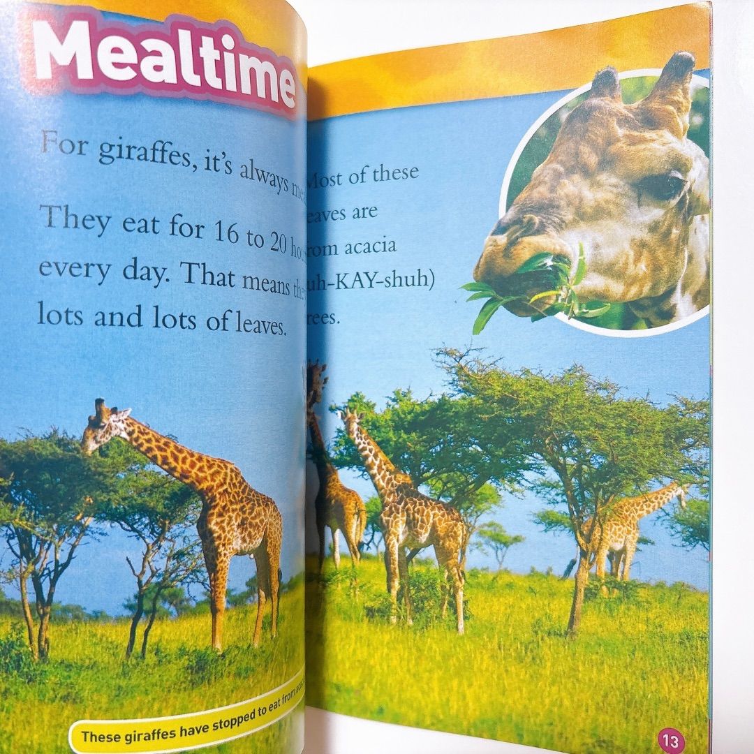 National Geographic Kids Level1 46冊 英語絵本 音源付き ナショジオ