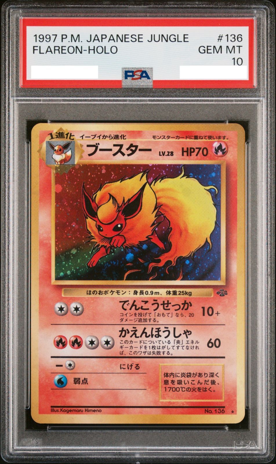 PSA10 旧裏 ブースター 第2弾 拡張パック ポケモンジャングル PSA10】ポケモンカード 旧裏面 ブースター LV.28 ポケカ 拡張パック第2
