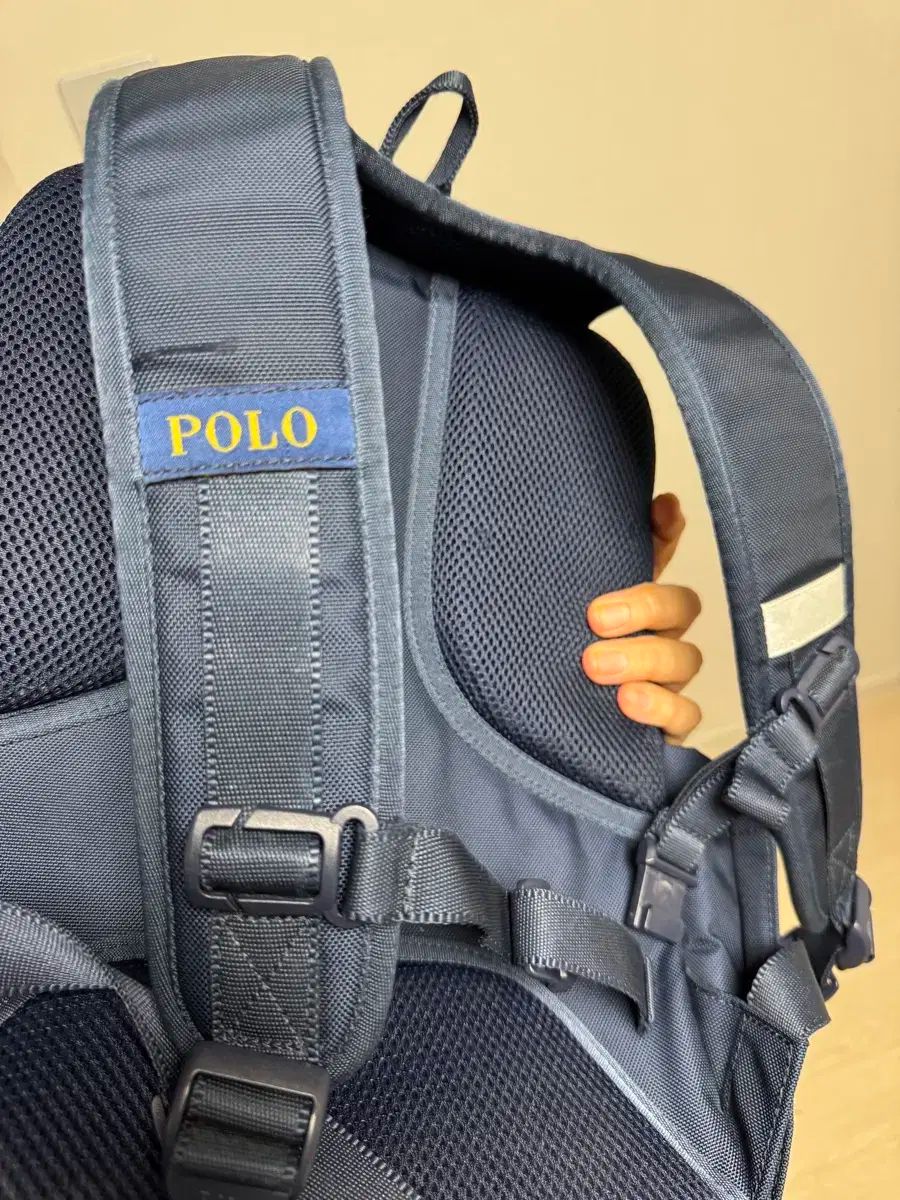 ポロ 学校に戻る