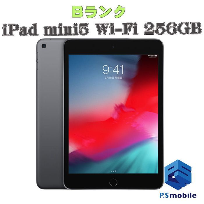 新品 苦い iPad本体 wifi 256gb