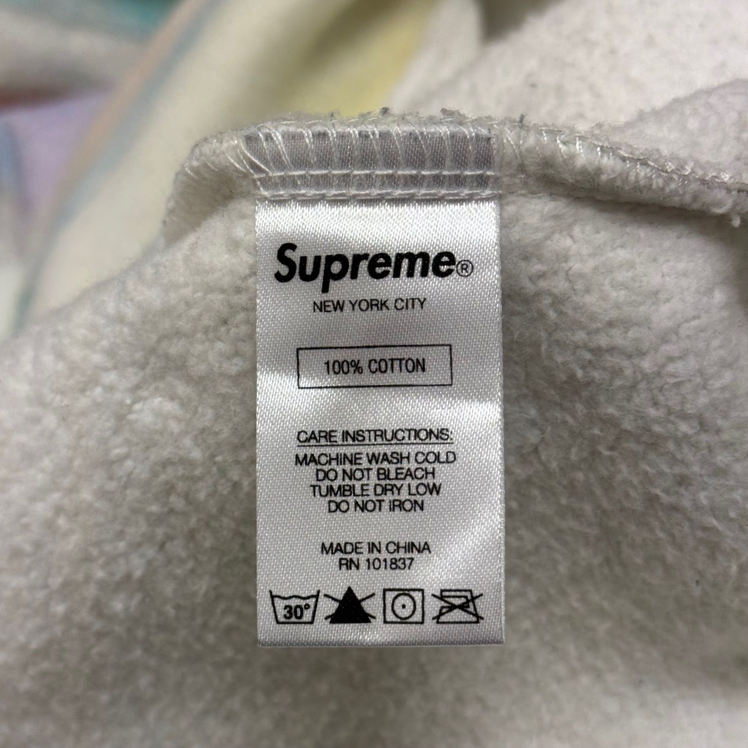 国内正規 Supreme 18SS Landscape Hooded Sweatshirt ランドスケープ 