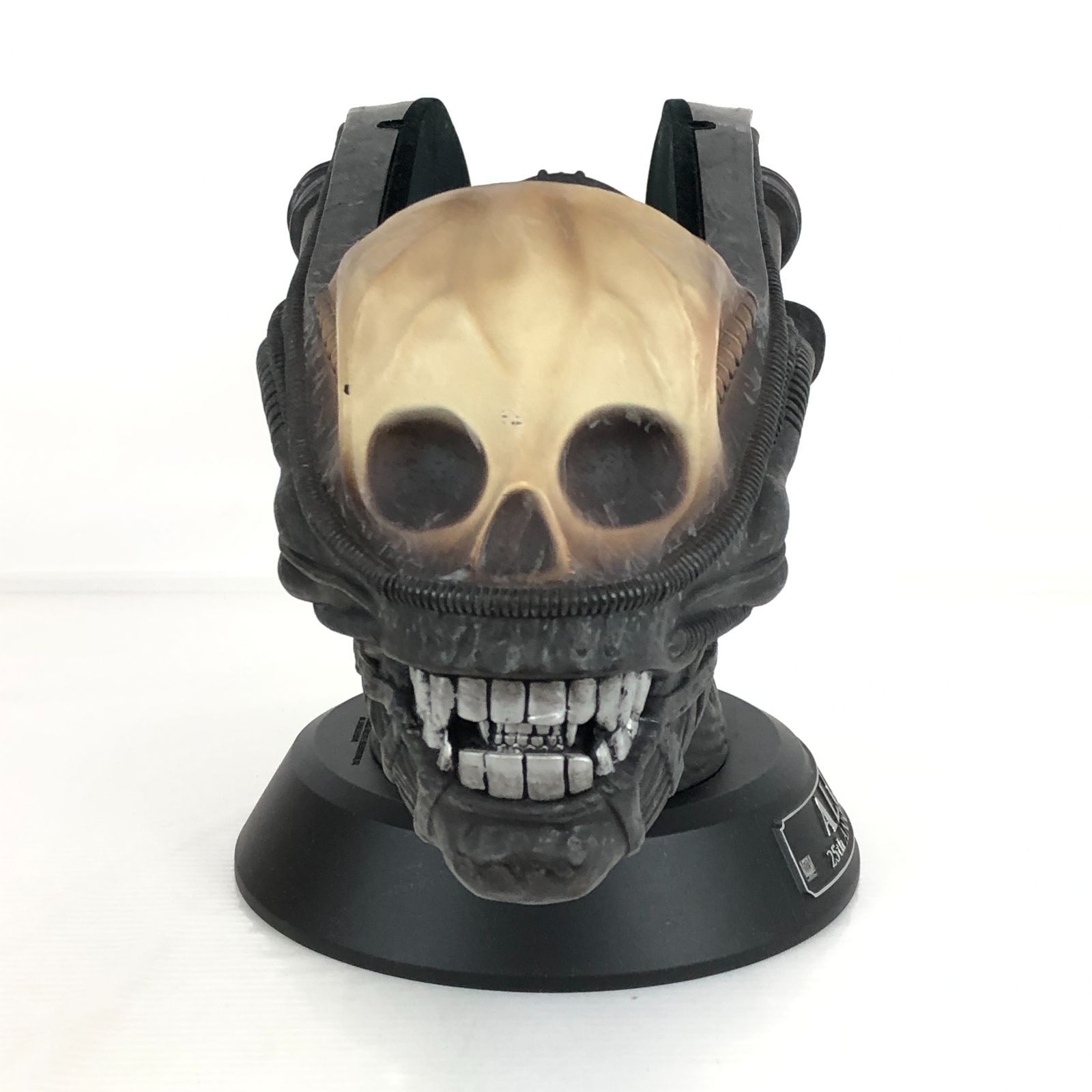 DVDエイリアン 製作25周年記念 アニバーサリーコレクション エイリアンヘッド Amazon.co.jp: エイリアン -製作25周年記念- アニバーサリー