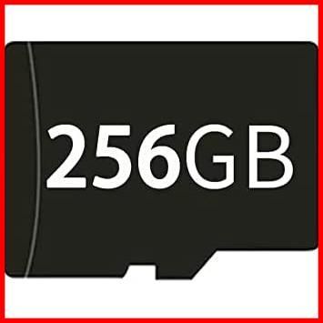 【人気商品】RG353P/RG353PS/RG351MP/RG351V/RG503/RG552/RG353V/RG353VS/RGARC用メモリカード 256GBカード