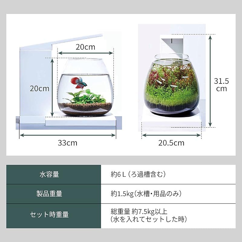 AQUARIUM