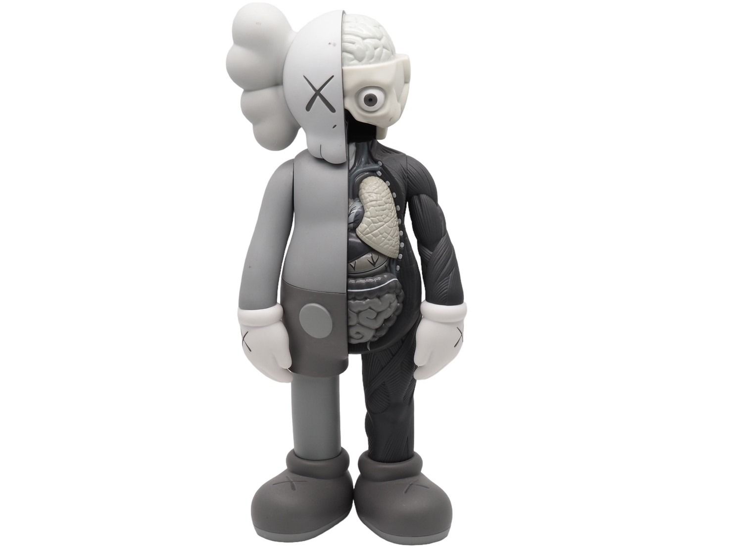 kaws カウズ 人体模型 companion FLAYED メディコムトイkawsTOKYOFI ...