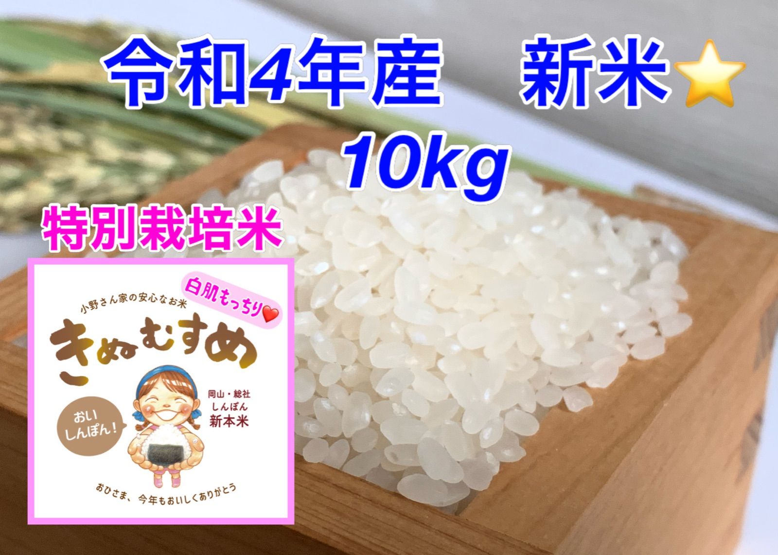 令和４年産　特別栽培米　一等級米きぬむすめ　岡山県北部産　精米１０kg
