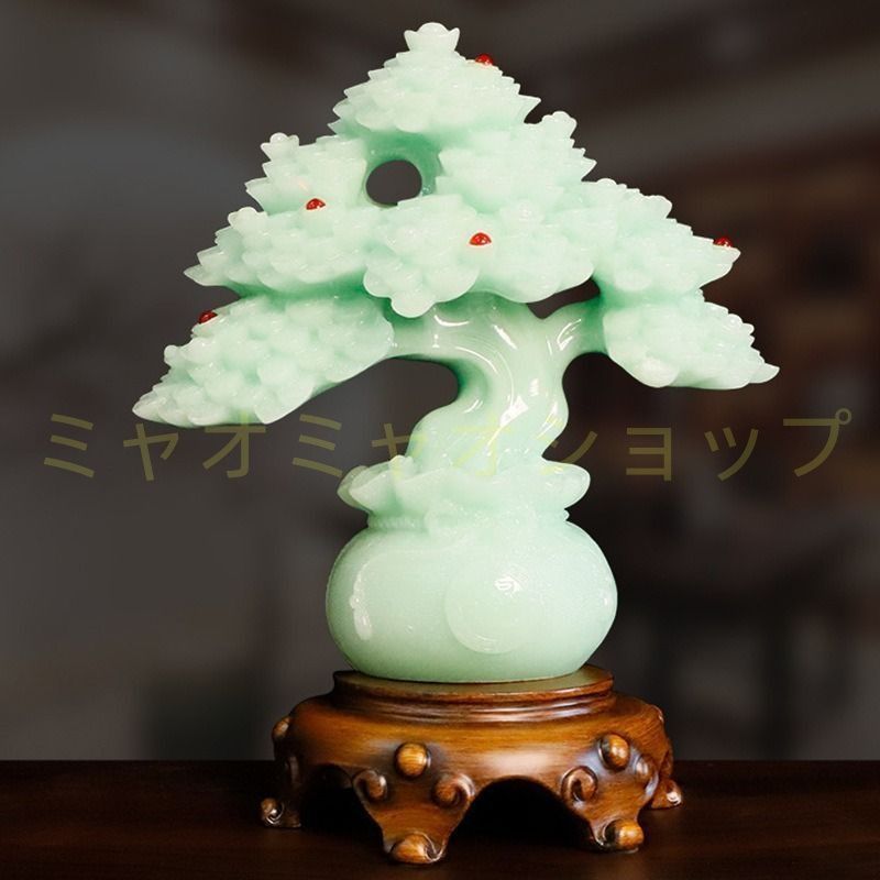 金のなる木 招財樹