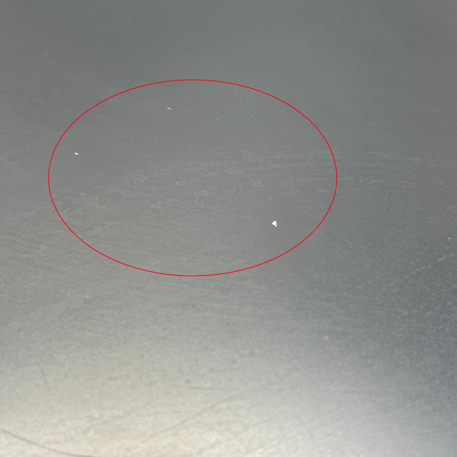 Ver.4.1 眉脱毛あり