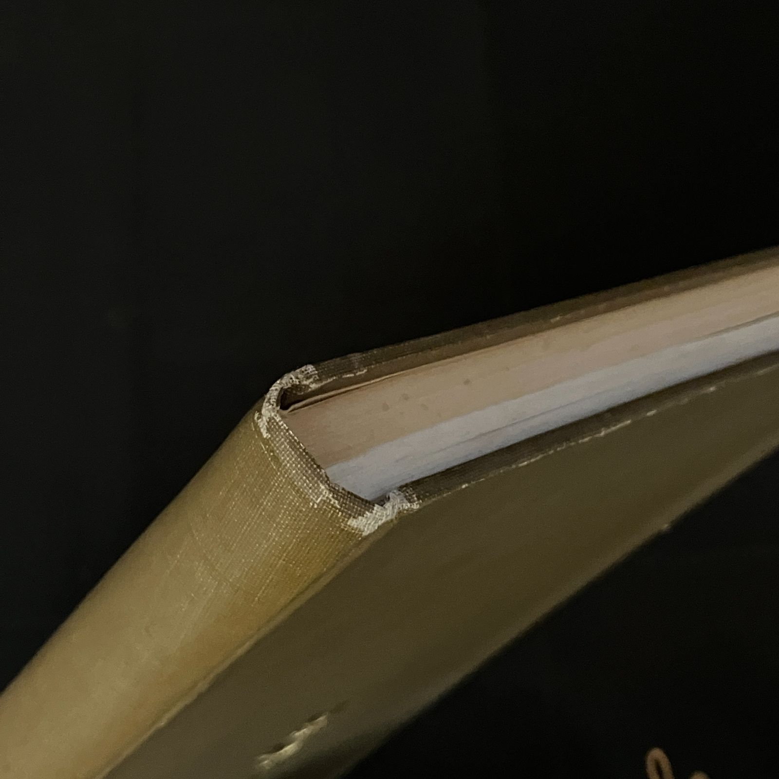 貴重！筑摩書房 昭和四十一年 富岡鉄斎 監修 武者小路実篤 梅原