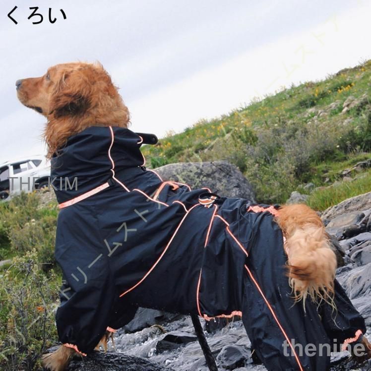 防水